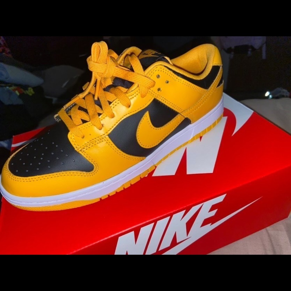 Nike Dunk Low Retro